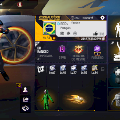 VENDO CONTA FF GEMADA