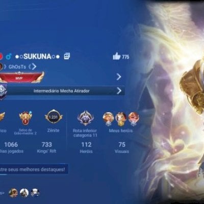 Entao estou vendendo minha conta pessoal de hono of kings chamada sukuna