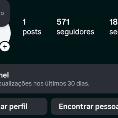 CONTA INSTAGRAM ENGAJADA