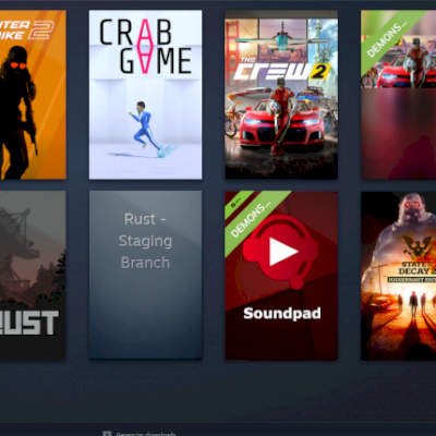 conta steam com  rust , the florest , the crew 2 e state decay 2 full dados