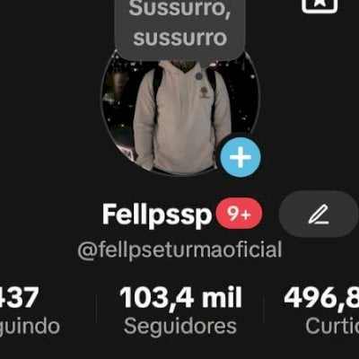 Tik Tok 100mil