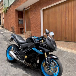 Rodrigo382