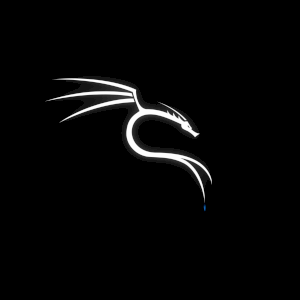 Lanskyscript