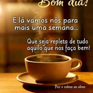 netinho