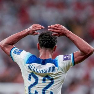 leo calleri