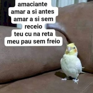 Fipe
