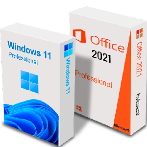 Store Softwares