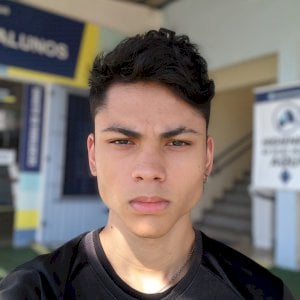 FehSGBR