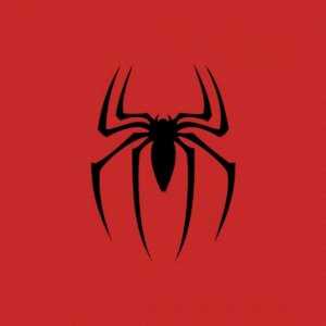 AranhaContas