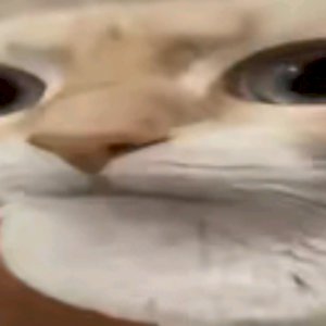 MyaKentori